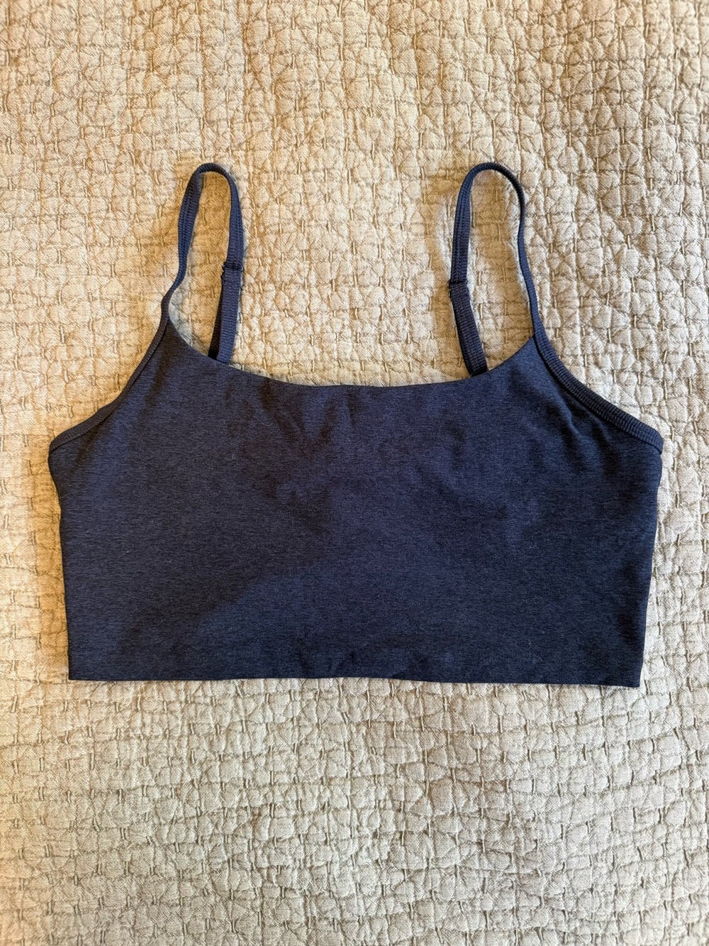 Aritzia TnAction Heather Grey Cropped Tank with Shelf Bra